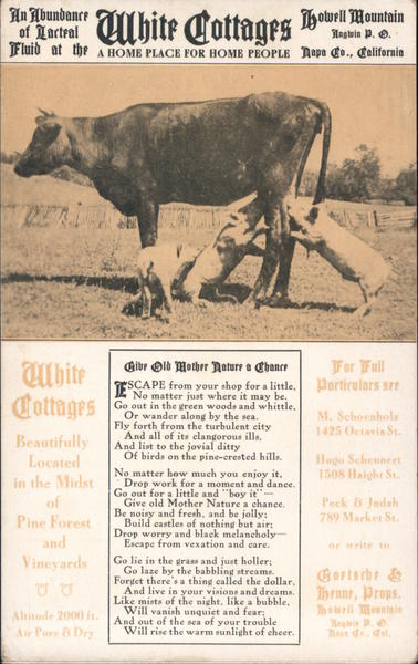 White Cottages - A home place for home people Angwin California