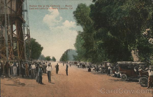 Auction Day at the California - Mexico Land and Cattle Co's Ranch Calexico