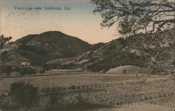 Vineyards Calistoga California