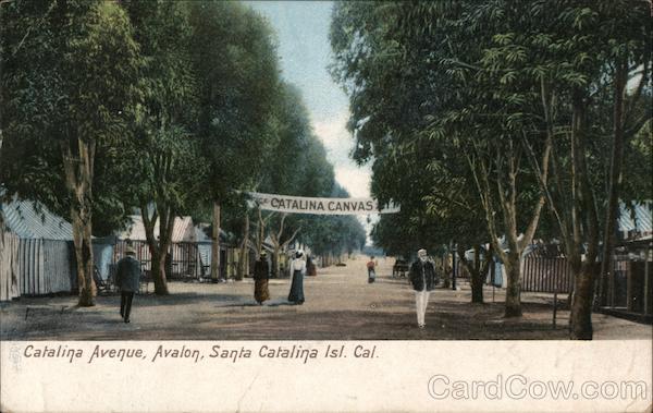 Catalina Avenue Santa Catalina Island Avalon California