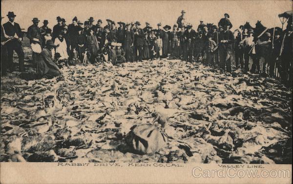 Rabbit Drive, Kern Co California