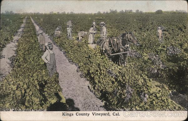Kings County Vineyard, Cal. California