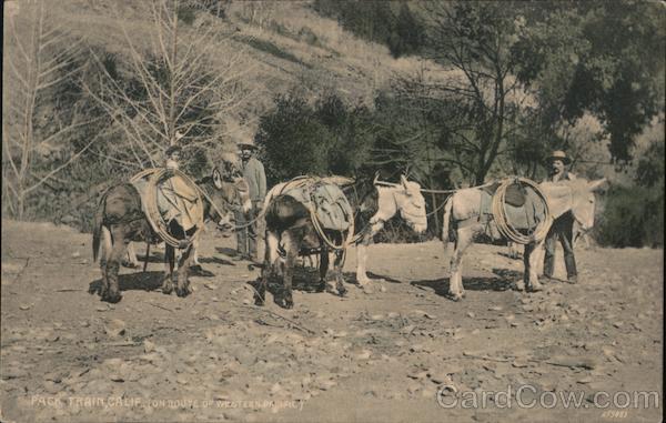 Pack train on route Western Pacific. - Mules California