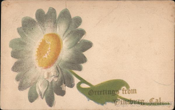 Greetings from Vineburg, Cal. California