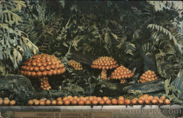 Products of Cloverdale California