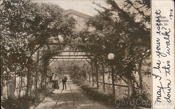 Rose Arbor, Agua Caliente Springs Sonoma California