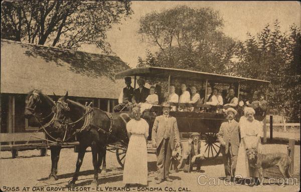 Boss at Oak Grove Resort in Sonoma County El Verano California