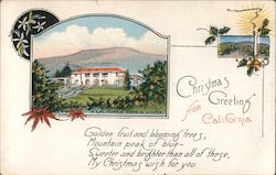 Christmas Greeting from California Postcard