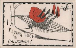 I'm Flying High in California! Postcard Postcard Postcard