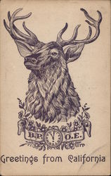 Elks Greetings from California Postcard