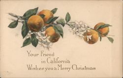 Your Friend in California Wishes you a Merry Christmas Postcard