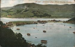 Belvedere Bay Postcard