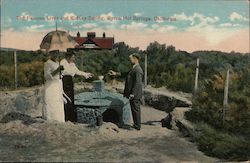 The Famous Liver and Kidney Spring Postcard
