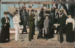 Jew Fish Catch Postcard