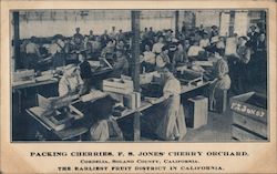 Packing Cherries, F.S. Jones' Cherry Orchard The Earliest Fruit District in California Postcard