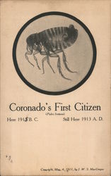 Coronado's First Citizen Here 1915 B.C. Still Here 1913 A.D. Postcard