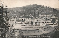 Birdseye View Postcard