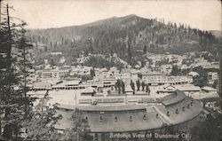 Birdseye View Dunsmuir, CA Postcard Postcard Postcard