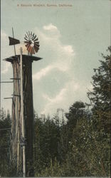 A Sequoia Windmill Postcard