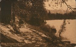 Road to Fallen Leaf Lodge-The Ideal Tahoe Resort-Spring 1913 Lake Tahoe, CA Postcard Postcard Postcard
