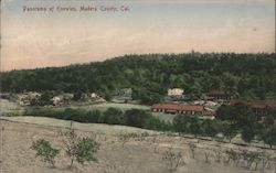 Panorama of Knowles, Madera County Postcard