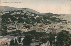 Sunnyside, Mill Valley California Postcard Postcard Postcard