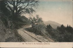 The Road to Mt. Tampalpais Postcard
