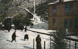 Winter Scene, Mount Tamalpais Postcard