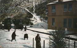 Winter Scene, Mount Tamalpais Mill Valley, CA Postcard Postcard Postcard