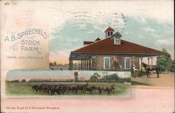 A.B. Spreckels Stock Farm Napa, CA Postcard Postcard Postcard