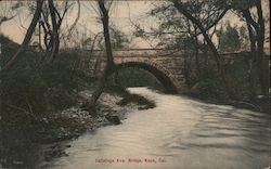 Calistoga Ave Postcard