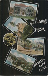 Greetings from Nevada City, Calif Postcard