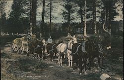 North Fork Express Calif. Postcard