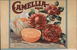 Camellia Brand Washington Navels Redlands, CA Postcard Postcard Postcard