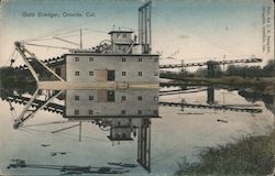 Gold Dredger Postcard