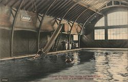 Interior of Plunge, On the Road of a Thousand Wonders Postcard