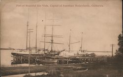 Port of Beautiful Rio Vista, Capital of American Netherlands Postcard