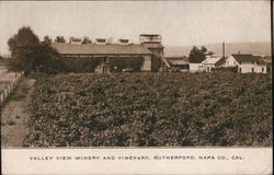 Valley View Winery and Vineyard-Napa Co Postcard