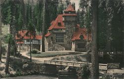 Castle of Mrs. Phoebe Hearst, Wyntoon Hearst Castle, McCloud River Postcard