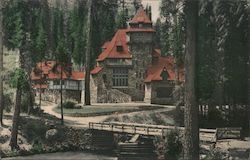 Castle of Mrs. Phoebe Hearst, Wyntoon Hearst Castle, McCloud River California Postcard Postcard Postcard