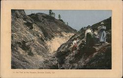 On the Trail at the Geysers Postcard
