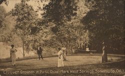 Croquet Grounds in Picnic Grove-Mark West Springs Postcard