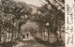 Rose Arbor, Agua Caliente Springs Postcard