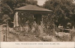 Theo. Fricke's Country Home Postcard