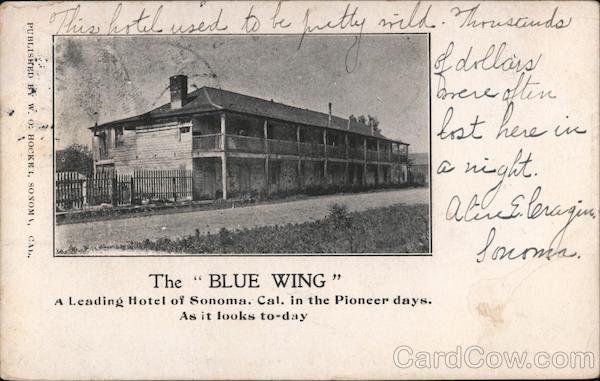 The Blue Wing Sonoma California