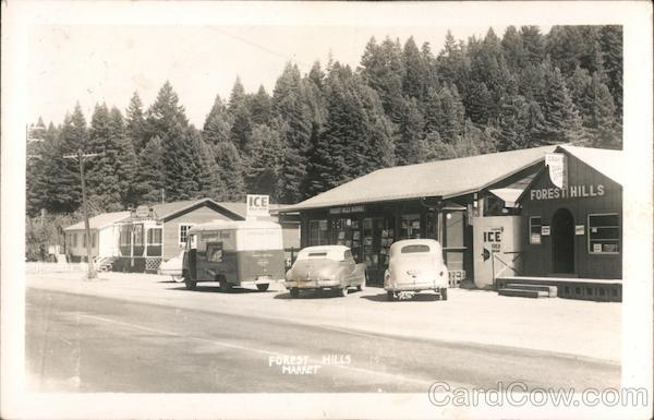 Foresthills Market street view Forest Hills California