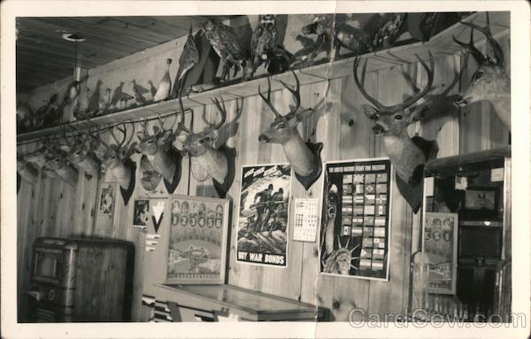 Mounted deer heads and taxidermied birds in game room Foresthill California