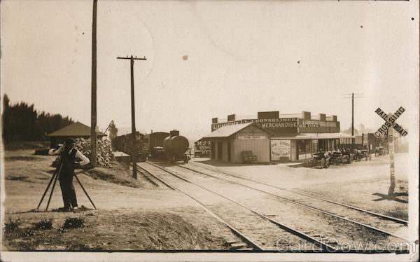 Rare! Penngrove Depot, Honsheimeil Merchandise, Surveyor California