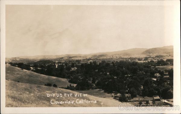 Birds Eye View Cloverdale California