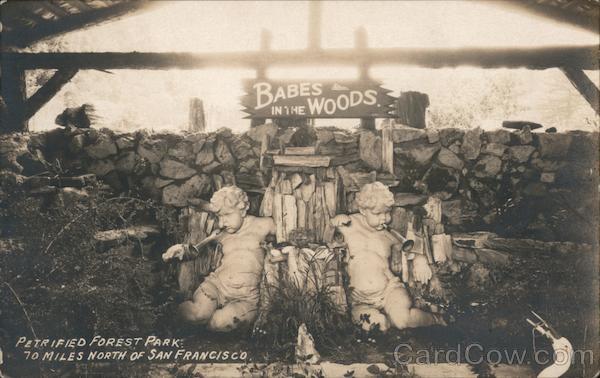 Babes in the Woods Petrified Forest Park Calistoga California